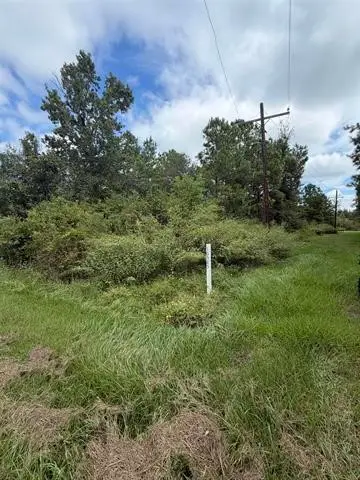 10585 Dogwood Drive, Beaumont, TX 77705 - #3