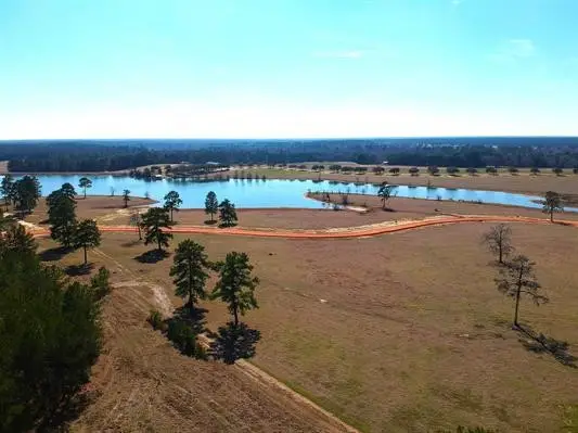 Lot 85 Lakeland Loop, Hillister, TX 77624 - Image #3