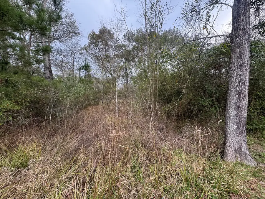 0 N Bonnie Lake Dr, Hempstead, TX 77445 - #3