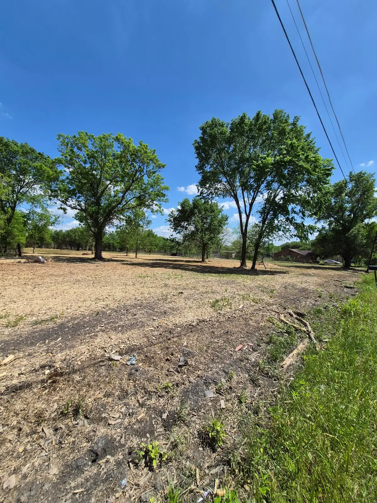 000 Louise Street, Navasota, TX 77868 - #1
