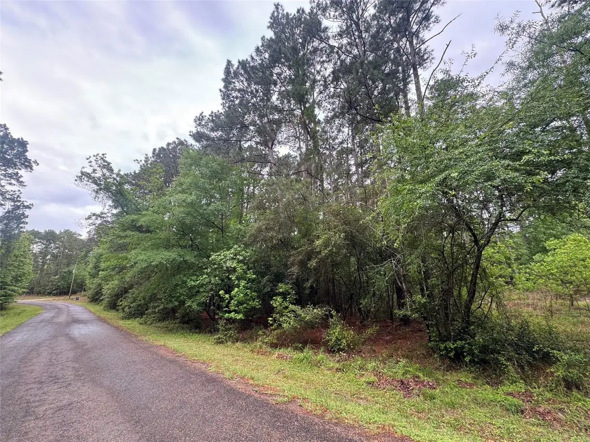 0 Whisperwood Drive, Onalaska, TX 77360 - #1