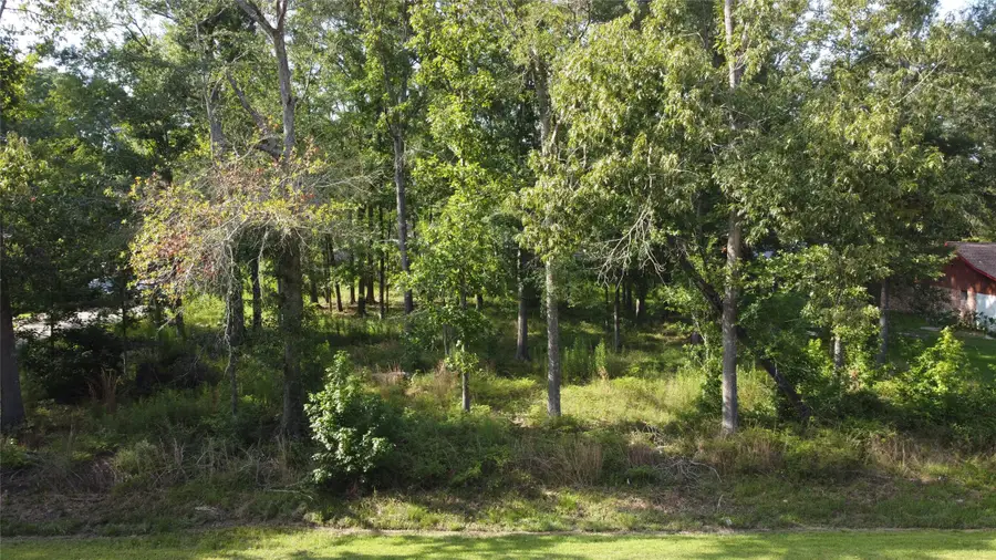 9 Sweetgum Drive, Woodbranch, TX 77357 - #3