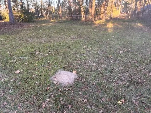 3970 Proctor Street, Beaumont, TX 77705 - #1