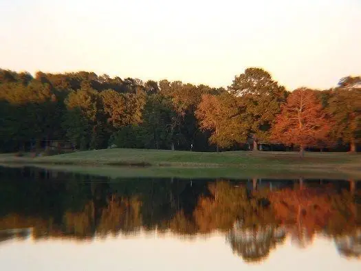 68 Forest Hollow,, Trinity, TX 75862 - #3