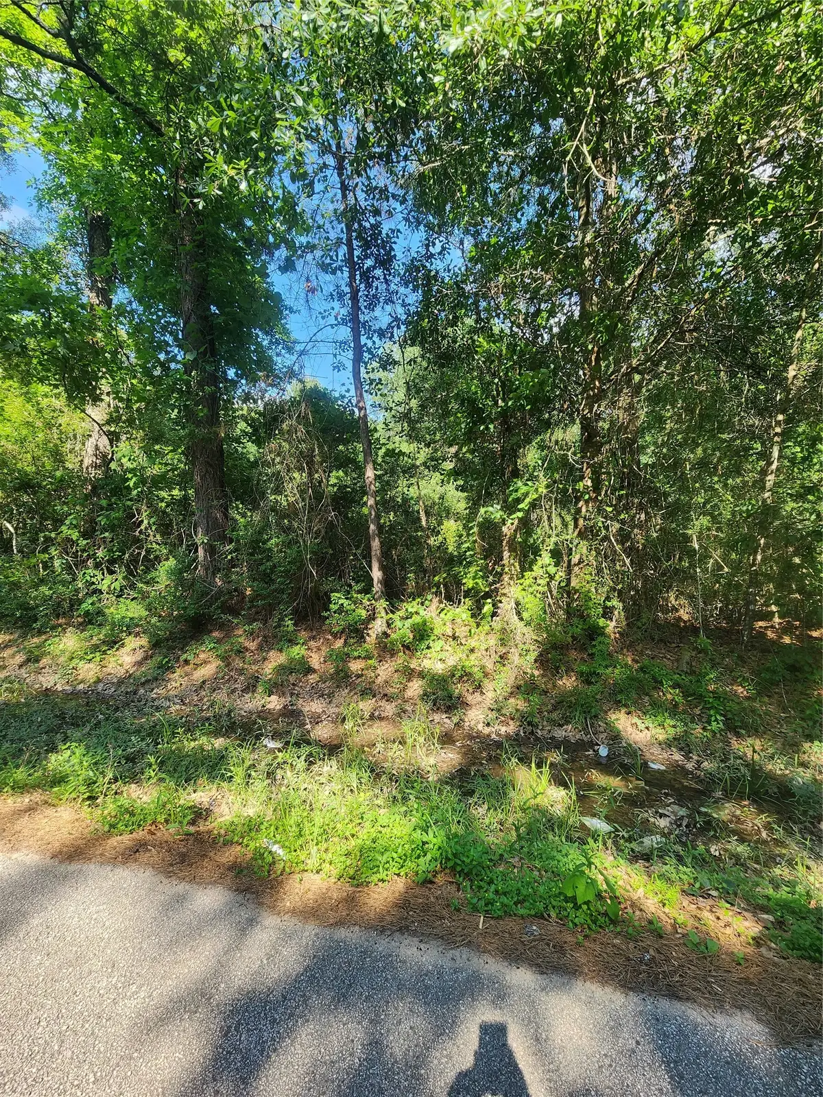 202 Michael Street, Cleveland, TX 77328 - #1