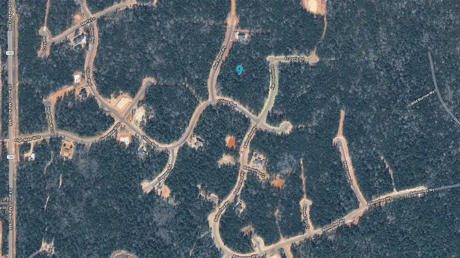 4577 Blue Agave Way, Montgomery, TX 77316 - #3