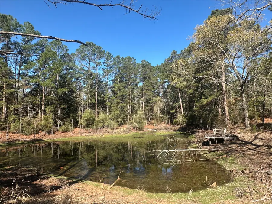 38AC Cr 263, Buffalo, TX 75831 - #2