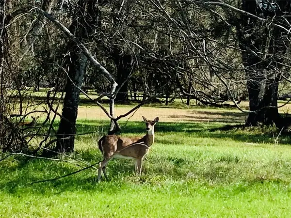 101 Trailblazer Drive, Angleton, TX 77515