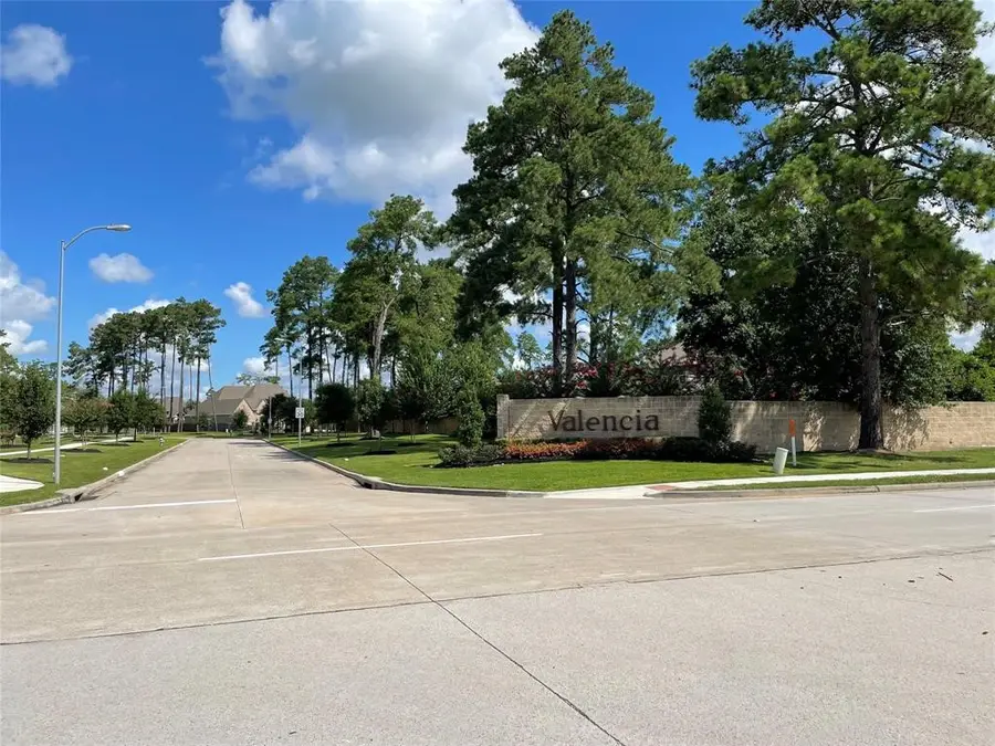 13603 Rollins Green Lane, Cypress, TX 77429 - Image #3