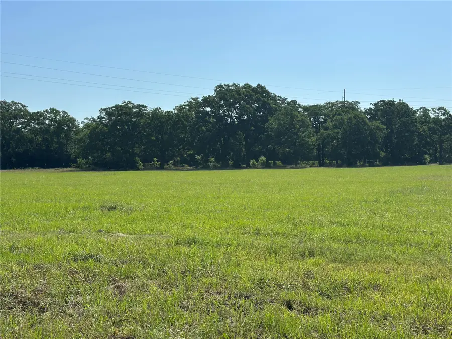 TBD County Road 128, Iola, TX 77861 - Image #2
