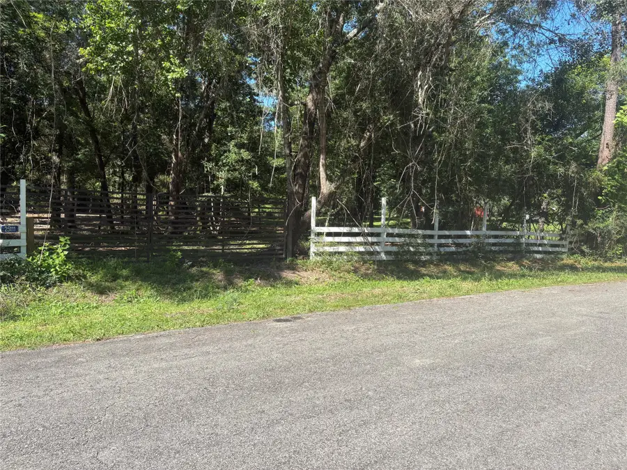 25111 N Clear Creek Road, Hockley, TX 77447 - #2