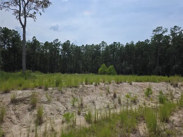 139 Rayburn Reserve Drive, Jasper, TX 75931