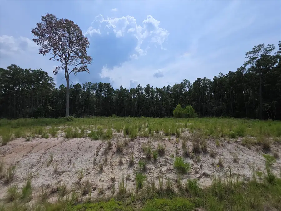 139 Rayburn Reserve Drive, Sam Rayburn, TX 75931 - #3