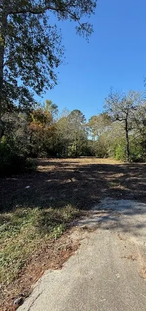 9367 Fm 149 Road, Montgomery, TX 77316 - Image #2