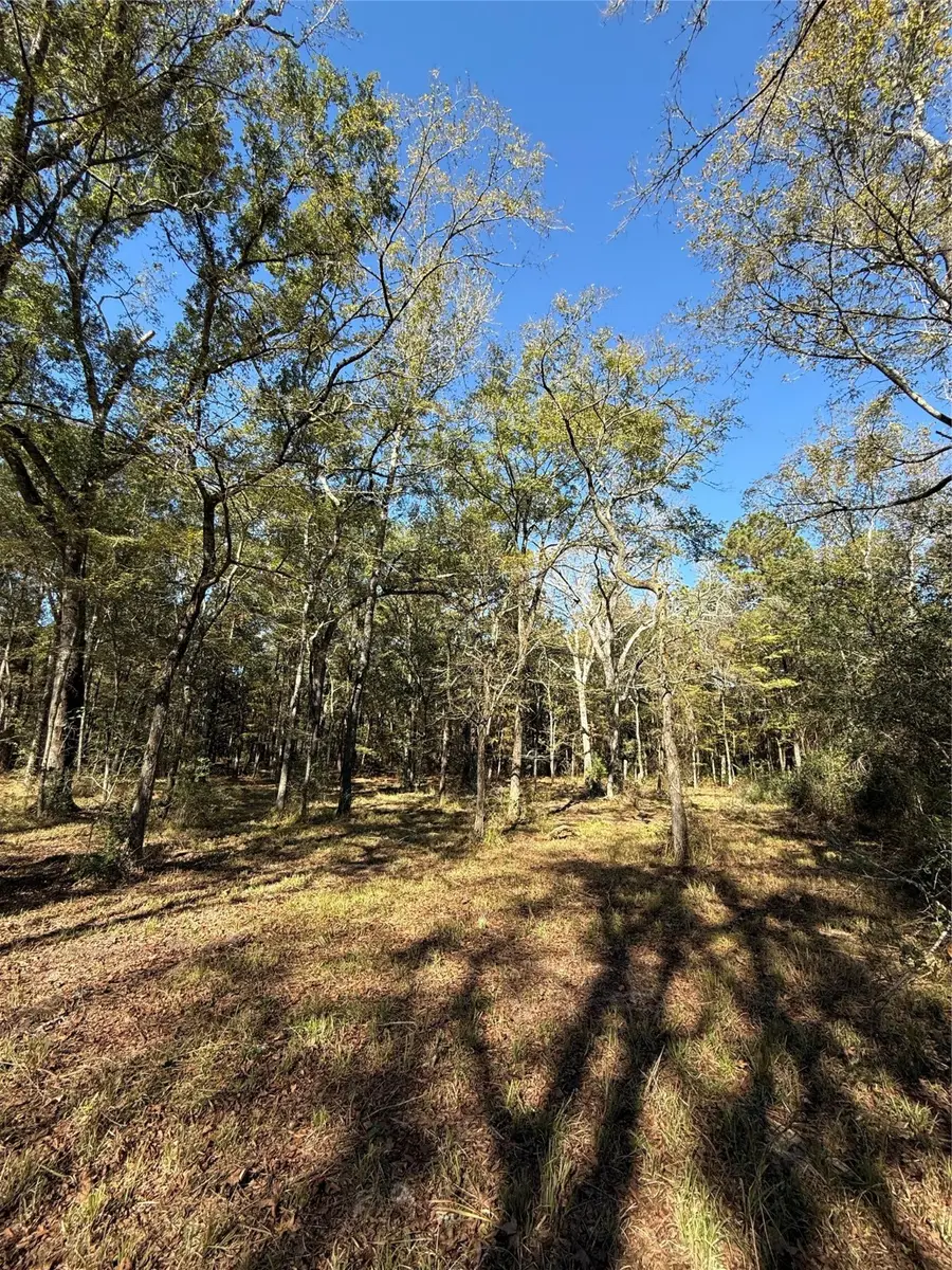 9367 Fm 149 Road, Montgomery, TX 77316 - Image #3