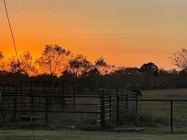 16508 Wilber Road, Hamshire, TX 77622 - Image #2