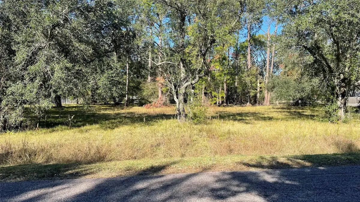 0 NW Boxwood At Britt Corner W, Brookside Village, TX 77581 - Image #1