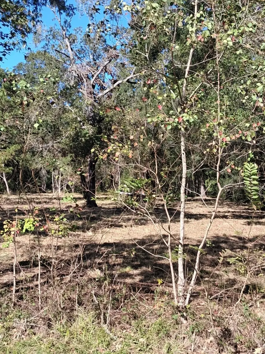 278 County Road 6502 W, Dayton, TX 77535 - Image #2