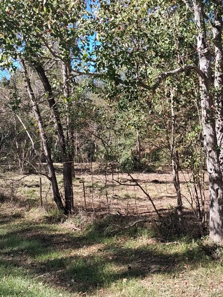 278 County Road 6502 W, Dayton, TX 77535 - Image #3