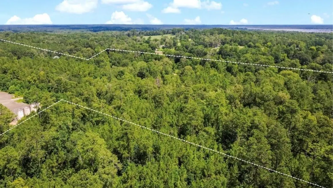 TBD County Road 4090, Woodville, TX 75979 - Image #1