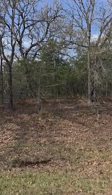 Tract 29 Fm-159, Navasota, TX 77868 - #2