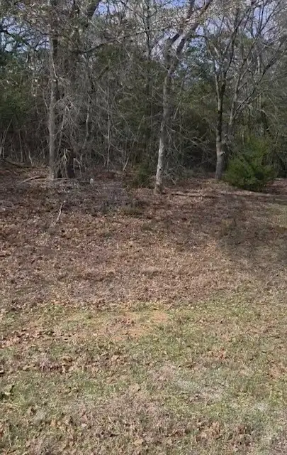 Tract 29 Fm-159, Navasota, TX 77868 - #3