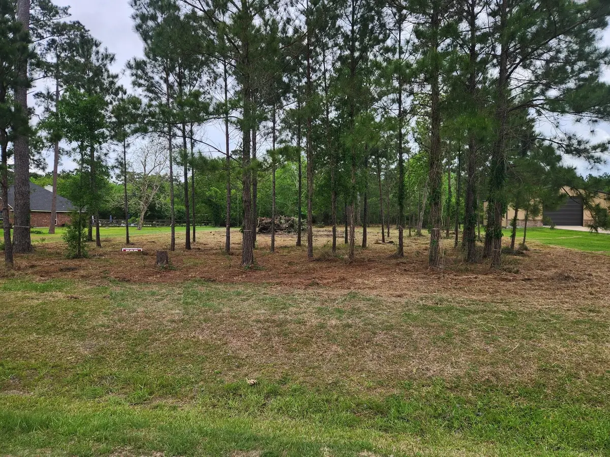 7203 Bayou Timbers Drive, Alvin, TX 77511 - #1