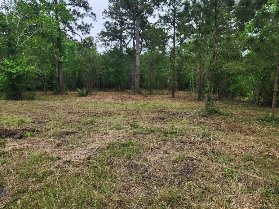 7203 Bayou Timbers Drive, Alvin, TX 77511 - #3