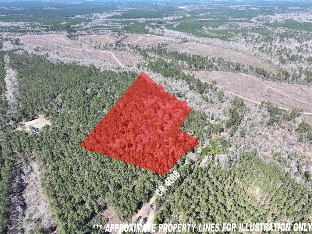 422 County Road 4088, Bon Wier, TX 75928 - #1