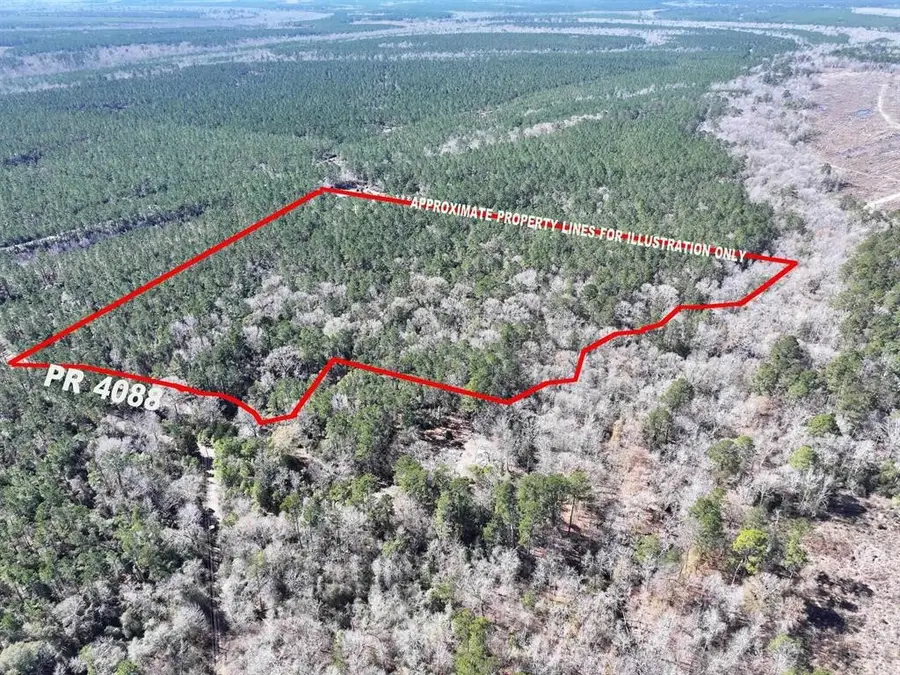 422 County Road 4088, Bon Wier, TX 75928 - #2
