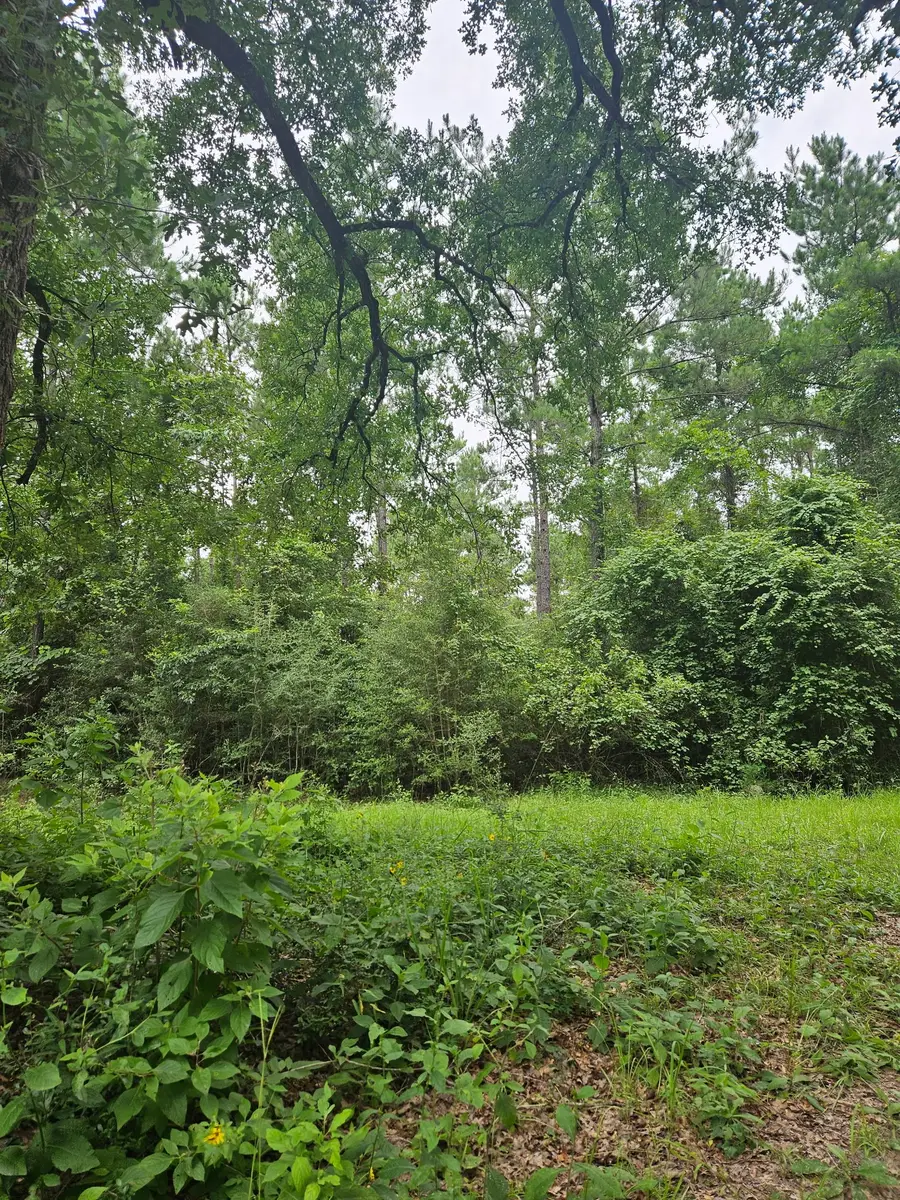 422 County Road 4088, Bon Wier, TX 75928 - #3
