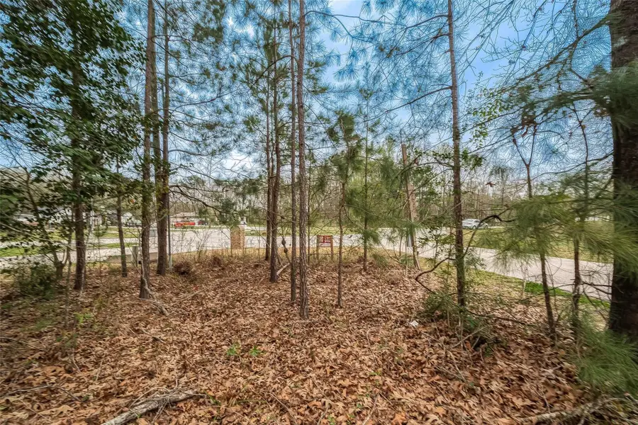 17010 N Saba, Splendora, TX 77372 - #3