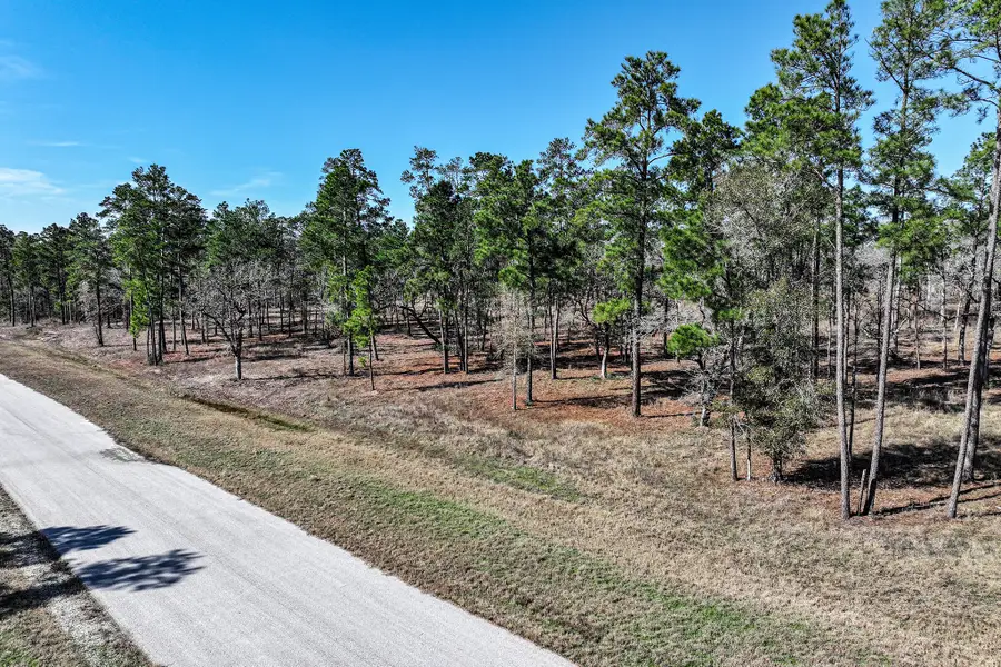 14.5 Ac Westview Dr, Huntsville, TX 77320 - Image #3