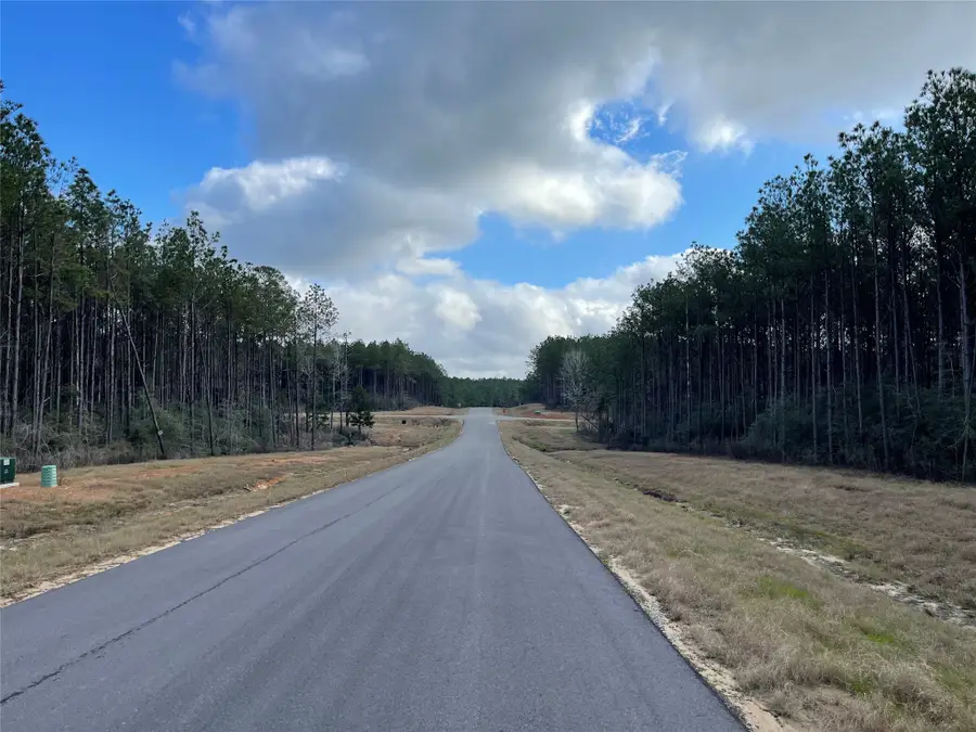 16031 Forest Mill Road, Willis, TX 77378 - #3