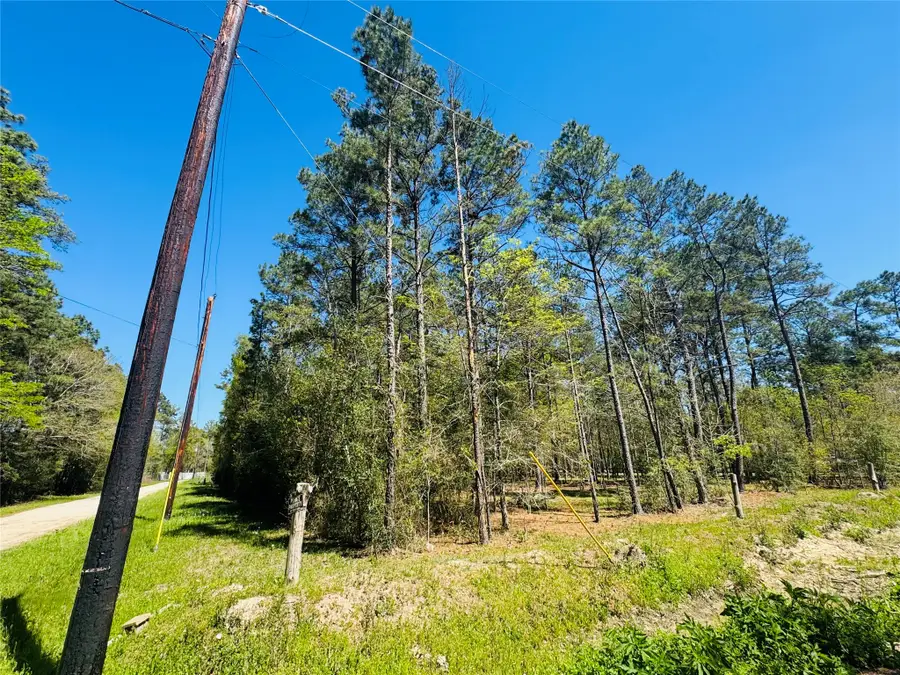 0 Creekbend Drive, Plantersville, TX 77363 - #2