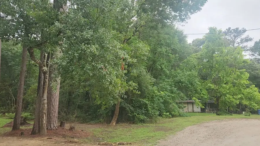 1017 Weeping Willow Drive, Plantersville, TX 77363 - #3