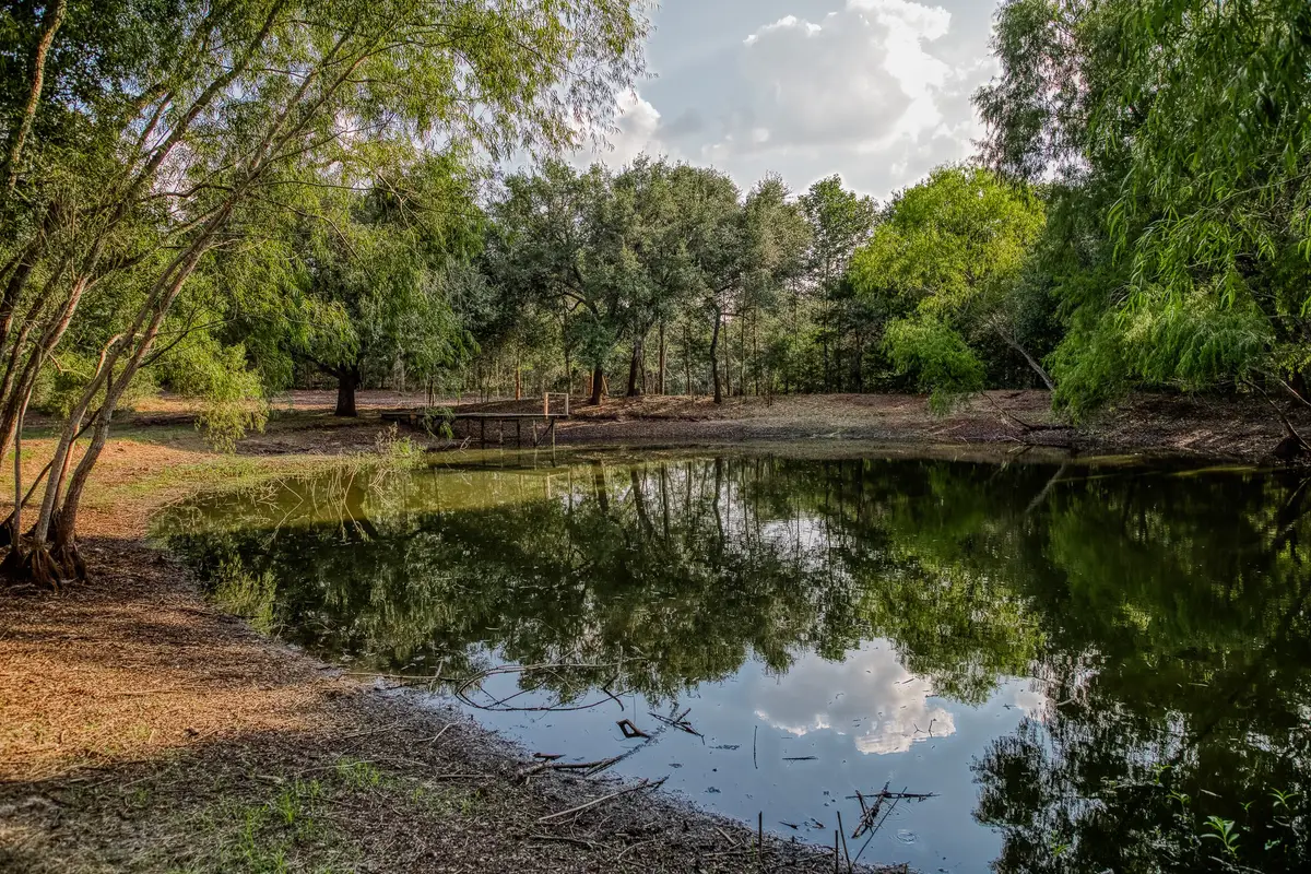 Tract 6 Sun Oil Road, Brenham, TX 77833 - Image #1