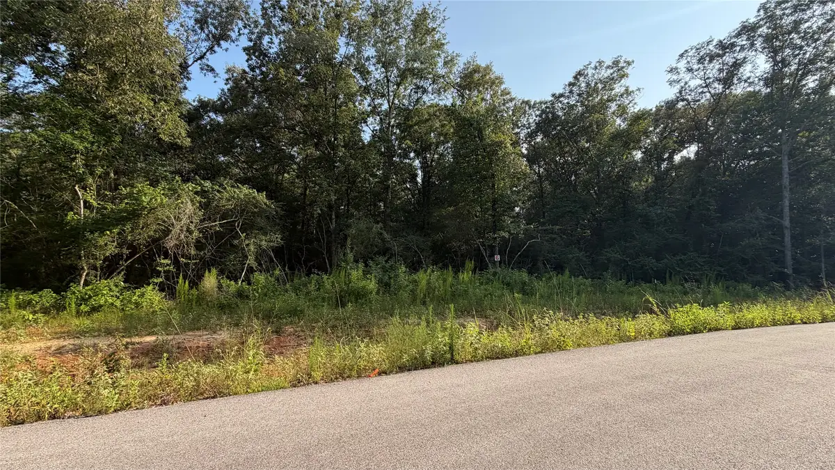 217 Kings Court, Dayton, TX 77535 - #1