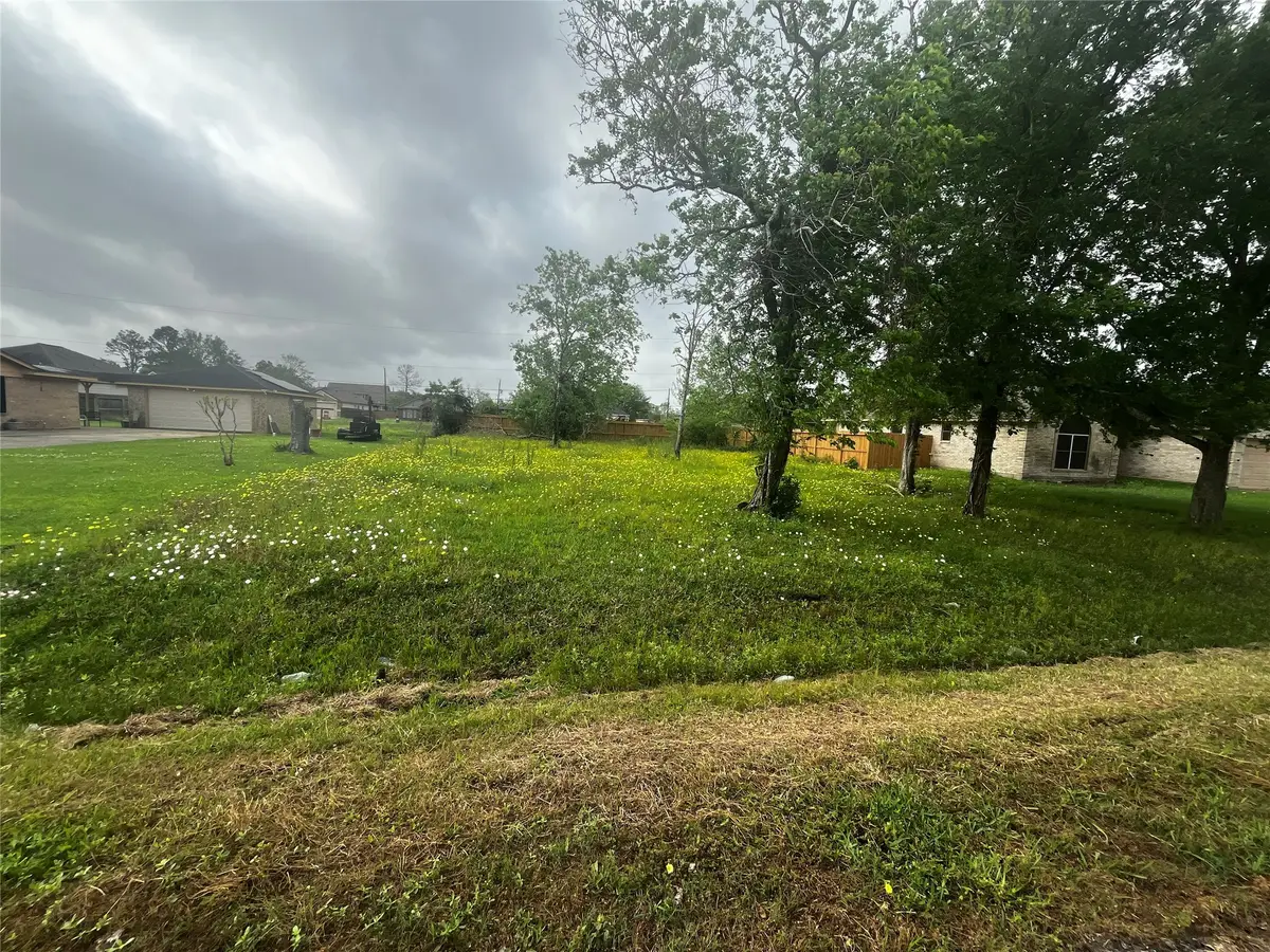 302 Manor Avenue, Arcola, TX 77583 - #1