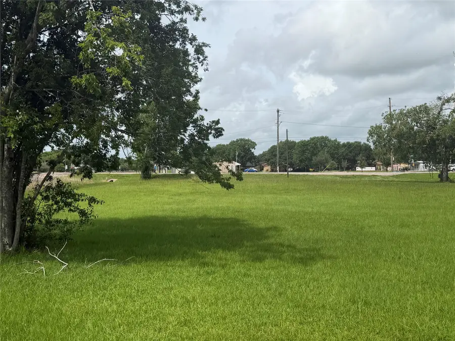 Lot 10 Guess Avenue, Kendleton, TX 77451 - #3