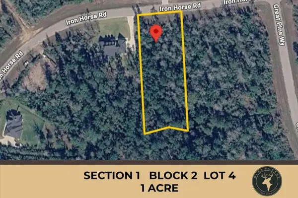 284 Iron Horse Road, New Waverly, TX 77358