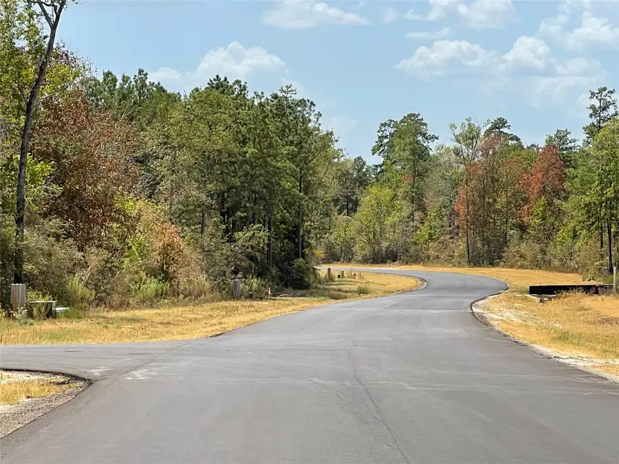 284 Iron Horse Road, New Waverly, TX 77358 - #3