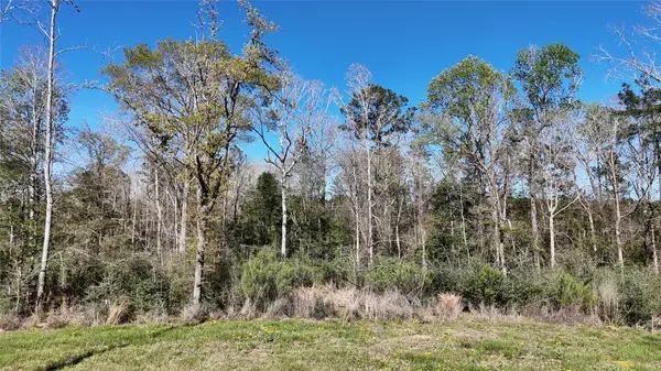 TBD 8 & 9 Aggie Avenue, Livingston, TX 77351