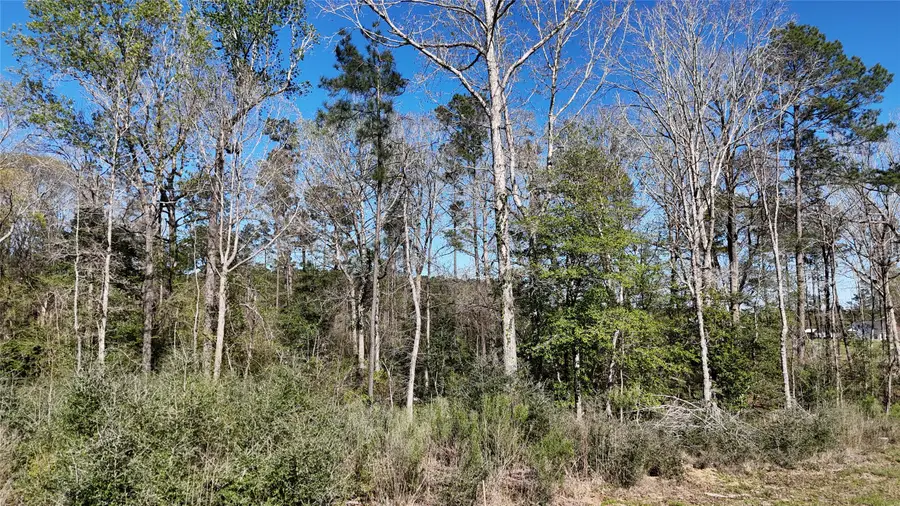 TBD 8 & 9 Aggie Avenue, Livingston, TX 77351 - #3