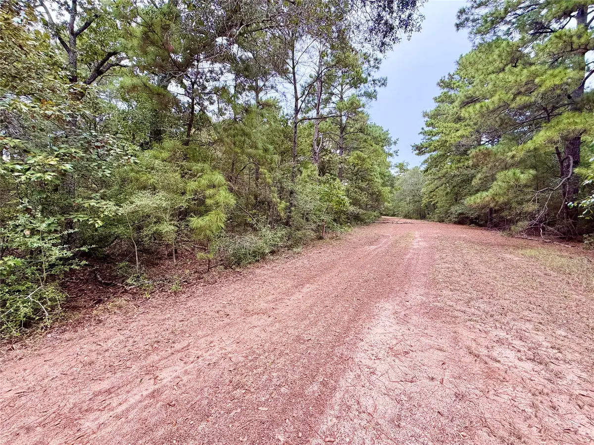 30819 Owl Drive, Hempstead, TX 77445 - #1