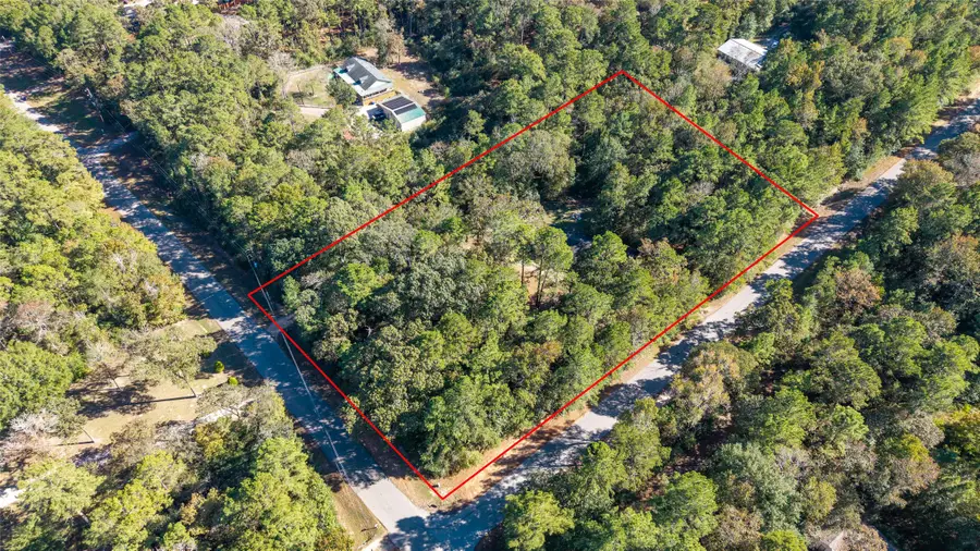 24795 Shady Oaks Boulevard, Montgomery, TX 77316 - Image #3