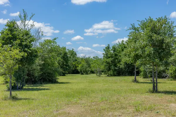 6774 Atakapan Trail, Bedias, TX 77831
