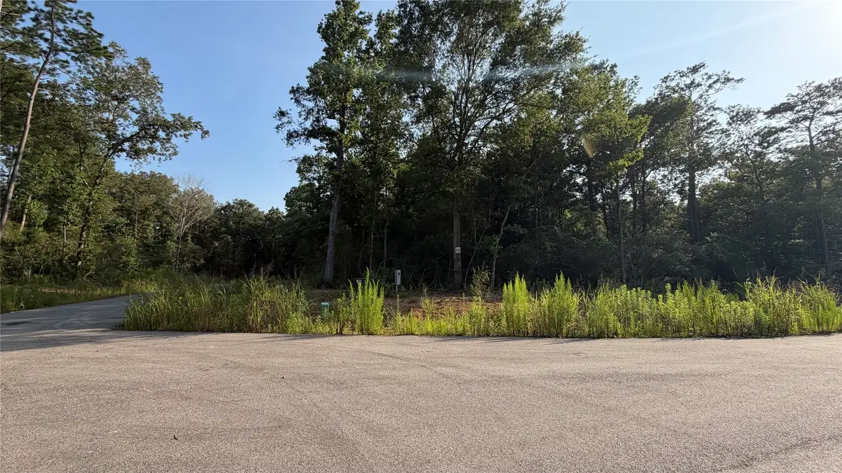 232 Kings Court, Dayton, TX 77535 - #1