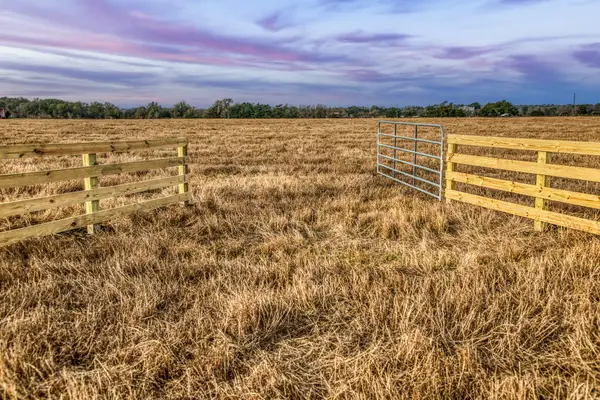 10444 County Road 318, Caldwell, TX 77836