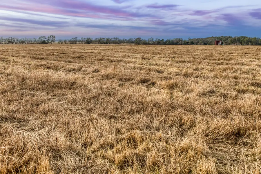 10444 County Road 318, Caldwell, TX 77836 - Image #3